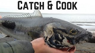 NZ West Coast Surfcasting  Port Waikato River Mouth  Kahawai Catch amp Cook Sashimi [upl. by Jeno804]