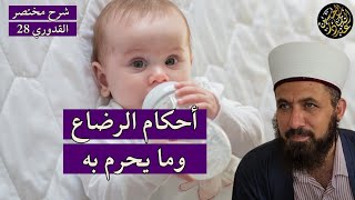 أحكام الرضاع وما يحرم به شرح مختصر القدوري 28 [upl. by Etteniuq716]