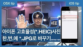 아이폰 HEIC 확장자 사진 JPG로 한번에 바꾸기  맥북 폴더적용스크립트 [upl. by Jillane]