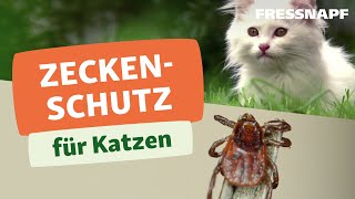 Zeckenschutz für die Katze [upl. by Richer445]