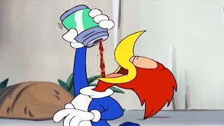 Woody Woodpecker Show  Tire Tyrant  Full Episode  Cartoons For Children [upl. by Arnoldo881]