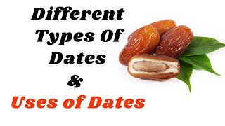 🔸World Healthiest and Different Types of Dates From Different Country of Origin amp Their Benefits [upl. by Pugh]