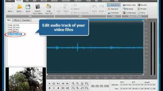 How to start working with AVS Audio Editor [upl. by Beutner]