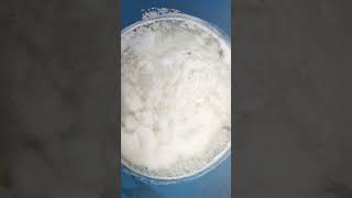 Solution is ready TRICHODERMA dkc trichoderma dkc WhatsApp 9991477775 [upl. by Ellednek]