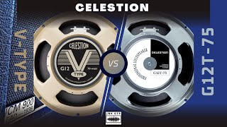 CELESTION G12T75 VS CELESTION VTYPE  Speaker Comparison  Mix  Marshall 1936 CAB [upl. by Aettam]