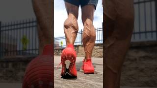 Build Monster Calves [upl. by Peppard]