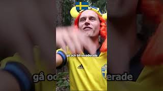 Sverige vs Norden [upl. by Liagibba439]