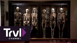 Philadelphias Mutter Museum  Travel Channel [upl. by Dijam25]