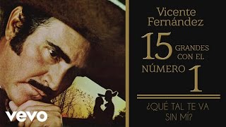 Vicente Fernández  Qué Tal Te Va Sin Mí Tema Remasterizado Cover Audio [upl. by Ennobe]