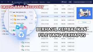 Cara Mudah Mengembalikan Data Yang Terhapus Di Laptop Dan Flashdisk Dengan Easeus Data Recovery [upl. by Arriek]