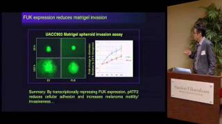 Fucose Targeting Melanoma with Sugar [upl. by Peedus]