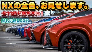 【11色全て揃う】レクサスNX全てのカラー集結してみた。グリル塗装した新型RXも！大規模オフ会 第17回 NEXUS MEETS at 埼玉にてレクサスNXが全色揃う！ [upl. by Oilegor]