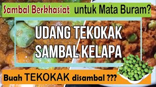 Olahan Tekokak Menjadi Sambal Enak  Resep Masakan [upl. by Giana]