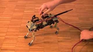 Cheetahcub mechanical robustness realtime [upl. by Elvin]