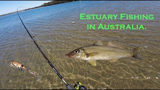 Estuary Fishing Australia [upl. by Yaniv]