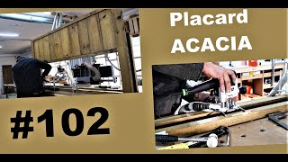 PLACARD acacia [upl. by Lil]