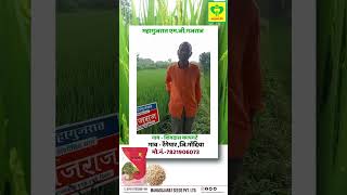 Mahagujarat seed Gajraj Seeds Best Farming seeds [upl. by Thorncombe]