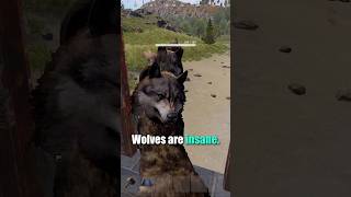 Wolves Are Terrifying in Rust One Thing Can Stop ThemSorta rust rustshorts rusttips [upl. by Pavyer160]