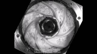 Video 3  Gasliquid twophase flow patterns within ESP [upl. by Ajiat871]