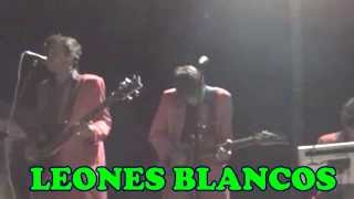 Leones Blancos  Cumbia eng en vivo 01 27 04 14 [upl. by Willet]