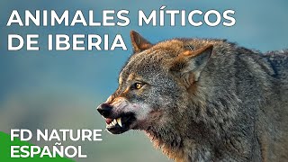 Animales Míticos de Iberia  Free Documentary Nature Español [upl. by Ahsened112]