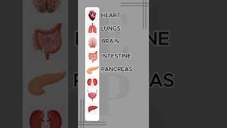 HOW TO PRONOUNCE ORGANS PART 1 english britishaccent shortsyoutube vocabularywords [upl. by Nosnej]