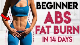 BEGINNER FRIENDLY ABS FAT BURN 🔥 Toned amp Flat Stomach  6 min Workout [upl. by Novak]