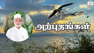 அற்புதங்கள்• Tamil Bayan • Mahlaree Hazrath [upl. by Desdamonna593]