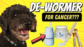 Dewormers for Cancer in Dogs and Cats [upl. by Holmun]