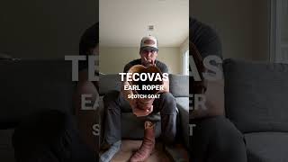 The Perfect Tecovas Boot [upl. by Joella]