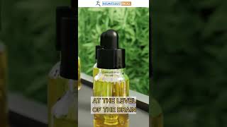 Reveal the Power of CBD Oil in Rheumatoid Arthritis [upl. by Cita]