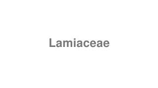 How to Pronounce quotLamiaceaequot [upl. by Anpas417]