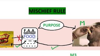 MISCHIEF RULE  INTERPRETATION OF STATUTES [upl. by Enniroc]