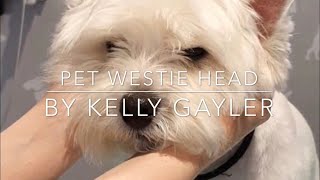 Pet Westie Head Grooming Tutorial [upl. by Zoubek472]