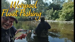 Float Fishing  Weir Pool Magic Video 262 [upl. by Aihtak]