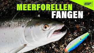 Meerforellen angeln an der Ostsee  Watangeln auf Meerforelle  Fischen auf Mefo  Anglerboard TV [upl. by Eisserc]