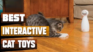 Best Interactive Cat Toy In 2024  Top 10 Interactive Cat Toys Review [upl. by Floeter]