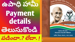 MGNREGS How to check payment details ap government job card payment details [upl. by Rebeh]