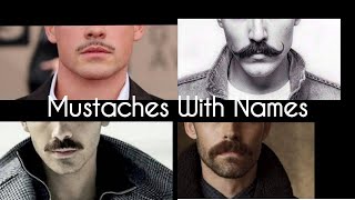 Types of Mustache with their names  Stylin Net [upl. by Smada]