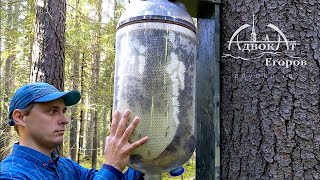 BottletoBottle Honey Production  Contactless Beekeeping [upl. by Ecreip]