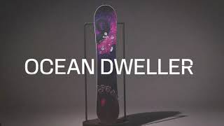 Evol Ocean Dweller Snowboard [upl. by Atiseret873]