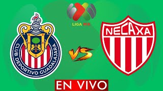 GUADALAJARA VS NECAXA EN VIVO  LIGA MX APERTURA 2024  JORNADA 12  DONDE VER EN VIVO [upl. by Notnroht]