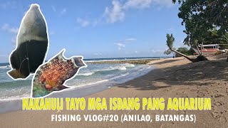 Fishing Experienced in Anilao Batangas  Fishing vlog20 [upl. by Ziul124]