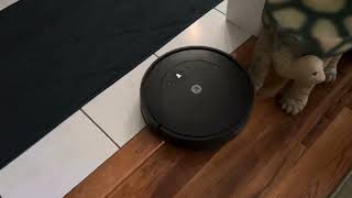 iRobot Essential Roomba review [upl. by Onitnevuj319]