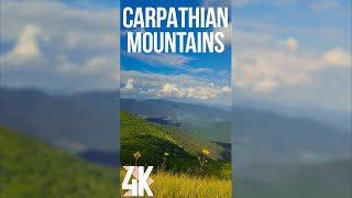 Incredible Nature of the Carpathian Mountains in Ukraine  4K Vertical Video for Tablets amp Phones [upl. by Sedicla587]