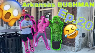 NEW Arkansas BUSHMAN 2021 EP 20 MUST WATCH [upl. by Gena976]