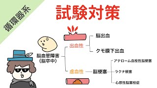 脳血管障害（脳卒中）の分類【試験対策】 [upl. by Anai]