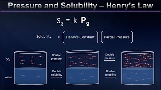 Henrys Law and Gas Solubility Explained [upl. by Mitchiner41]