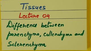 Class 9th Biology Tissues Lecture 04 Difference between parenchyma collenchyma and sclerenchyma [upl. by Odicalp742]