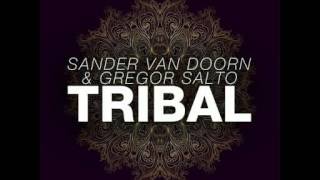 Sander Van Doorn amp Gregor Salto  Tribal Extended Mix [upl. by Neras]